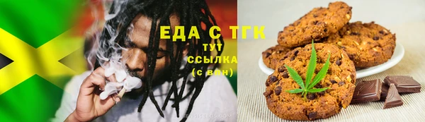 дмт Бородино
