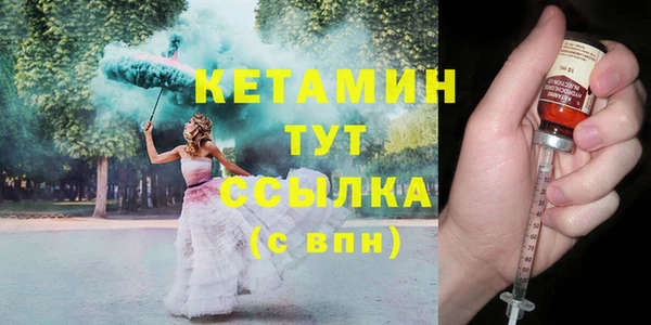 дмт Бородино