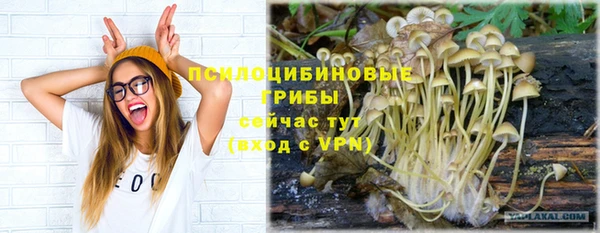 mdpv Бронницы