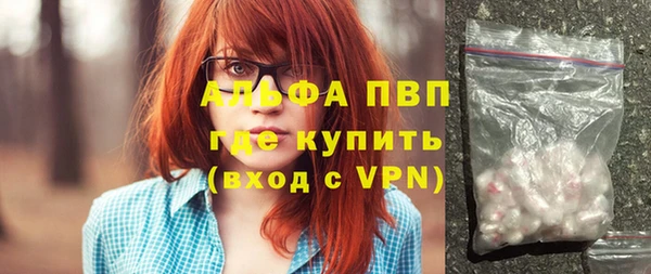 дмт Бородино