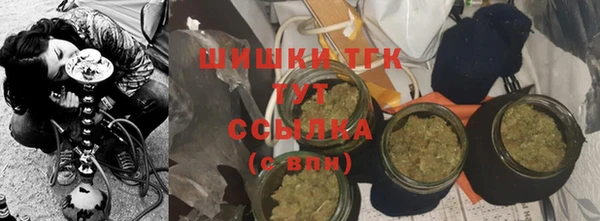 дмт Бородино