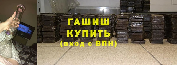 дмт Бородино