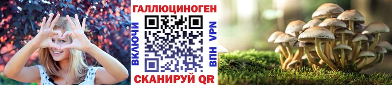 Псилоцибиновые грибы прущие грибы  Киренск 