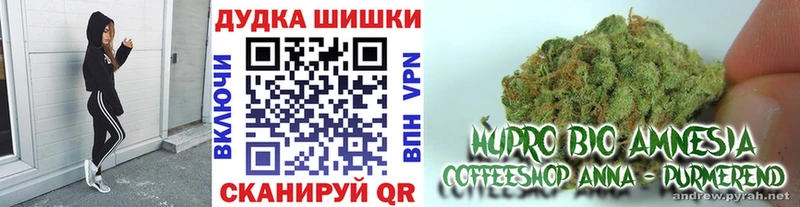 Бошки марихуана семена  кракен как зайти  Киренск  где купить наркоту 
